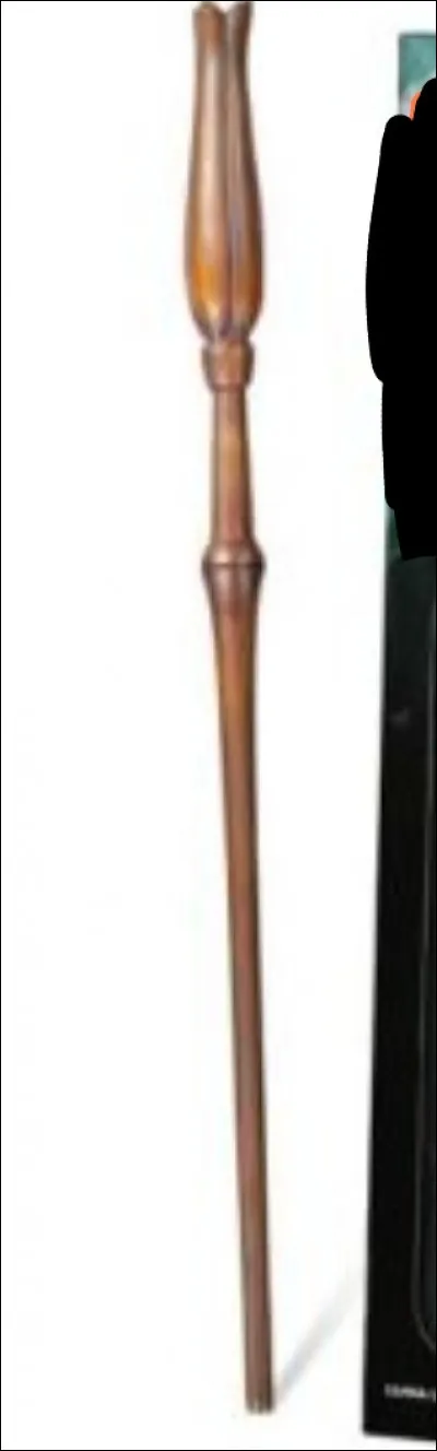 À qui est cette baguette ?