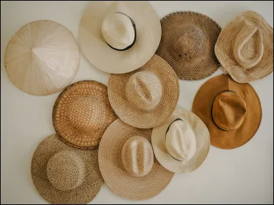 Par quel mot désigne-t-on la collection de chapeaux ?