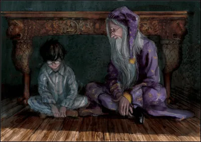 Que prétend-il voir dans le miroir du Riséd ?