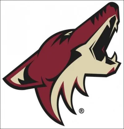 Au hockey, on peut retrouver les Coyotes...