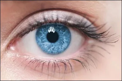 Quelle est la couleur de tes yeux ?