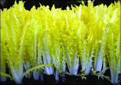 Sous quel autre nom connait-on mieux ''la barbe de capucin'' ?