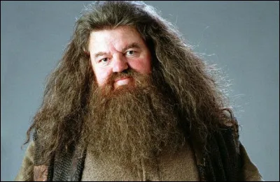 Dans quelle saga peut-on voir ce personnage &agrave; la barbe broussailleuse ?