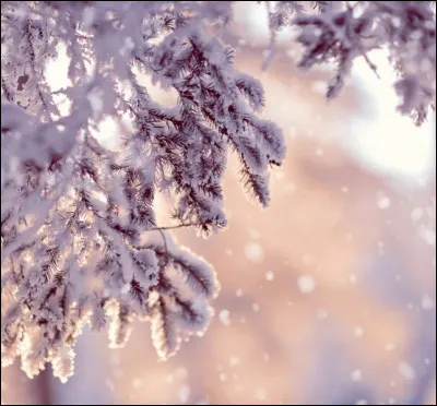 Nous sommes en hiver à partir du :