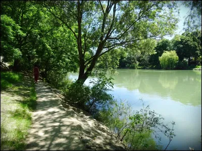À quel chanteur doit-on le titre "Au bord de l'eau" en 2009 ?