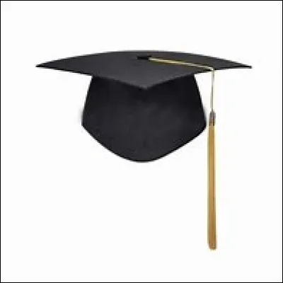 Qui n'a pas de vrai diplôme ?