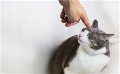 Laquelle de ces phrases peu agréables à entendre t'a-t-on déjà dites ?