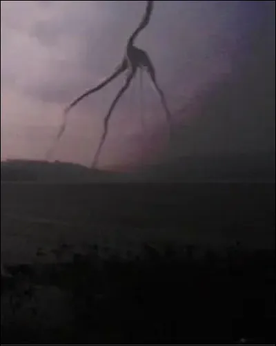 Quelle est cette chose ?