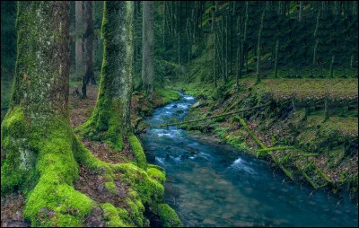 ... divine source d'... ! En ... de ces bois, tu me nargues ... plus ... point !