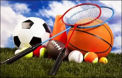 Dans quel sport peut-on retrouver Julian Alaphilippe ?