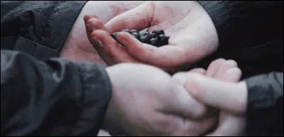 Comment s'appellent les baies mortelles que trouvent Katniss et Peeta ?