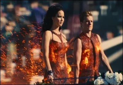 Pendant le défilé Peeta et Katniss ont porté des tenues en rapport avec :