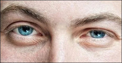 Le roitelet huppé avait comme nom vulgaire...