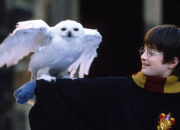 Quiz Personnages Harry Potter 2