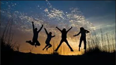 Combien as-tu damis ?