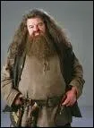 Qui incarne Rubeus Hagrid ?