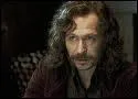 Qui incarne Sirius Black ?