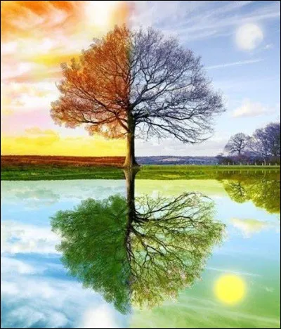 Quelle est ta saison préférée ?