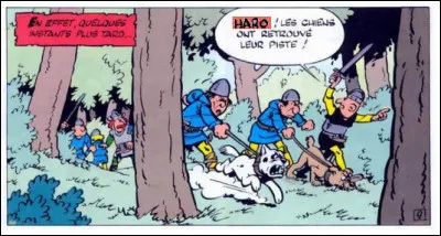 De l'ancien bas francique *hara « ici, de ce côté », ce mot ne se trouve plus guère que dans l'ancienne expression "Crier haro ..." (Complétez !)