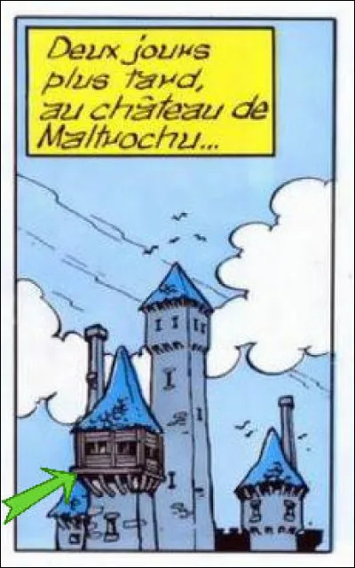 En bois, ils sont les précurseurs de ce que seront les mâchicoulis de pierre. Ce sont les ... (Complétez !)