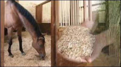 Quelles affirmations sont exactes, concernant la liti&egrave;re ?