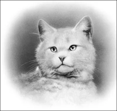 Comment se nomme sa tante ?