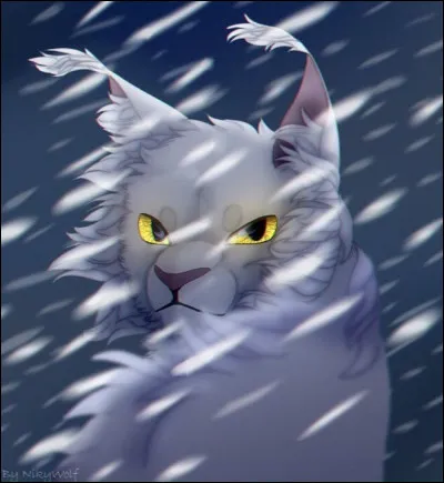 Dans les mystères de la forêt, après que Cur de Feu a raconté tous les crimes de Griffe de Tigre, quelle est la réaction de Tornade Blanche ?