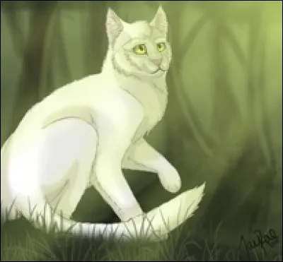 Comment se sent Tornade Blanche à la mort dÉtoile Bleue ?