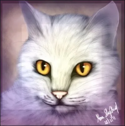 Et pour finir, qui tue le sage lieutenant ?