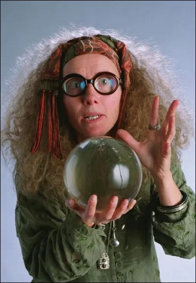 Quelle actrice incarne le professeur de divination, Sibylle Trelawney ?