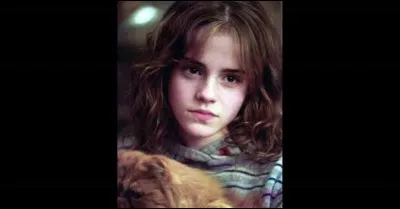 Quel article Hermione lit-elle dans le train, lors de sa quatrième année ?