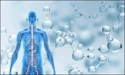 Quel sel n'est pas un des sels minéraux que l'on trouvent dans le corps humain ?