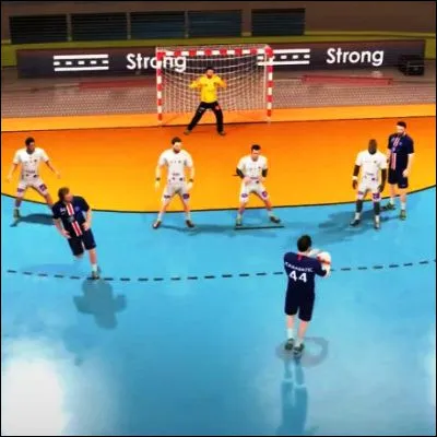 Quel joueur français de handball a été élu meilleur gardien de tous les temps ?