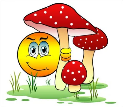 Que sont ces très beaux champignons réservés au plaisir des yeux ?