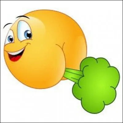 Où souffle le vent froid appelé "Tramontane" ?