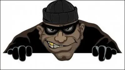 Dans la phrase « le voleur a volé la télévision », où est le sujet ?