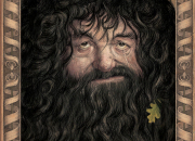Quiz Rubeus Hagrid