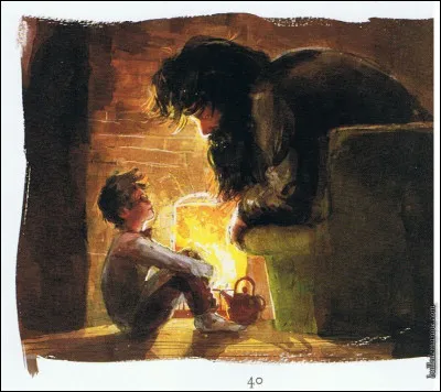 Que fait-il à manger pour Harry Potter dans la maison ?