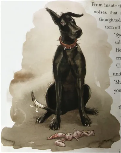 Comment sappelle le chien de Hagrid ?