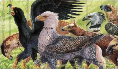 Combien dhippogriffes Hagrid a-t-il amenés pour son premier cours ?