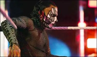 Qui est ce catcheur ?