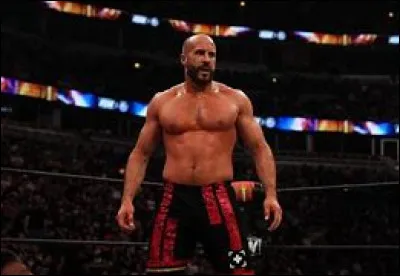 Qui est ce catcheur ?