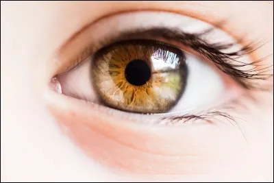 De quelle couleur sont tes yeux ?