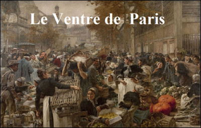 Qui est lauteur du roman ''Le Ventre de Paris'', troisième roman de la série des Rougon-Macquart ?