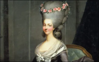 Marie-Antoinette : Quelle information est inexacte ?