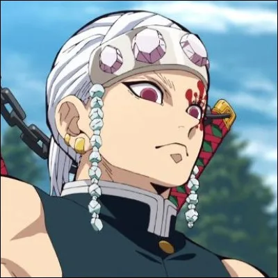 Comment sappelle le Pilier du Son ?