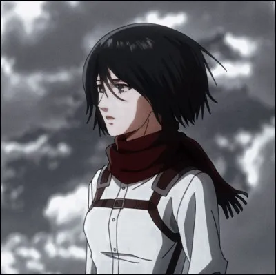 4 - À qui appartient l'écharpe que porte Mikasa Ackerman ?