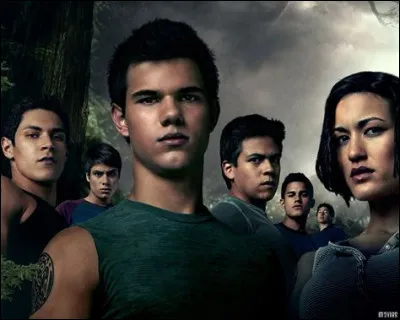 Qu'aimerais-tu être ?