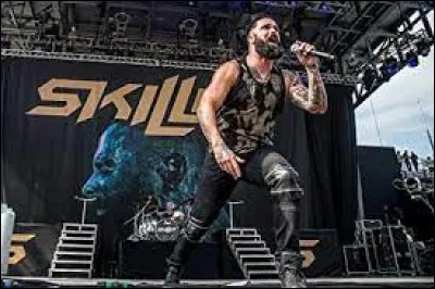 Enfin, connais-tu et aimes-tu Skillet ?