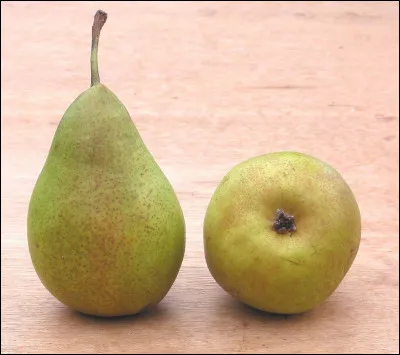 Dans quel film de 2012, entend-on, a capella, tout va très bien madame la marquise ?